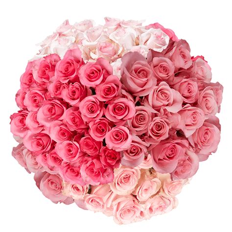 how much are roses wholesale